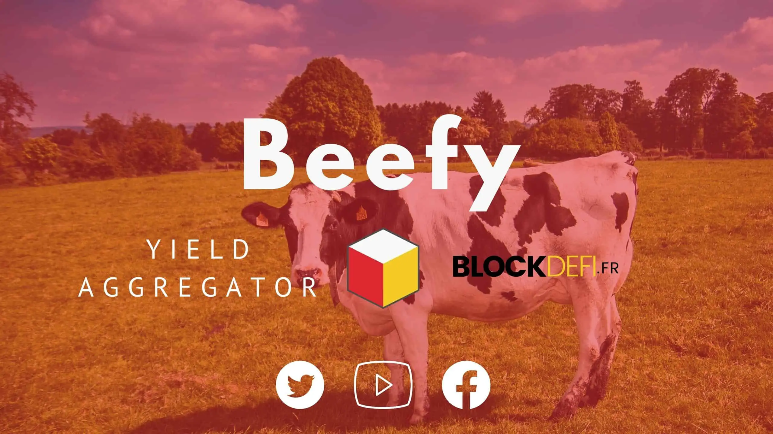 Beefy-FInance-Yield-aggregator