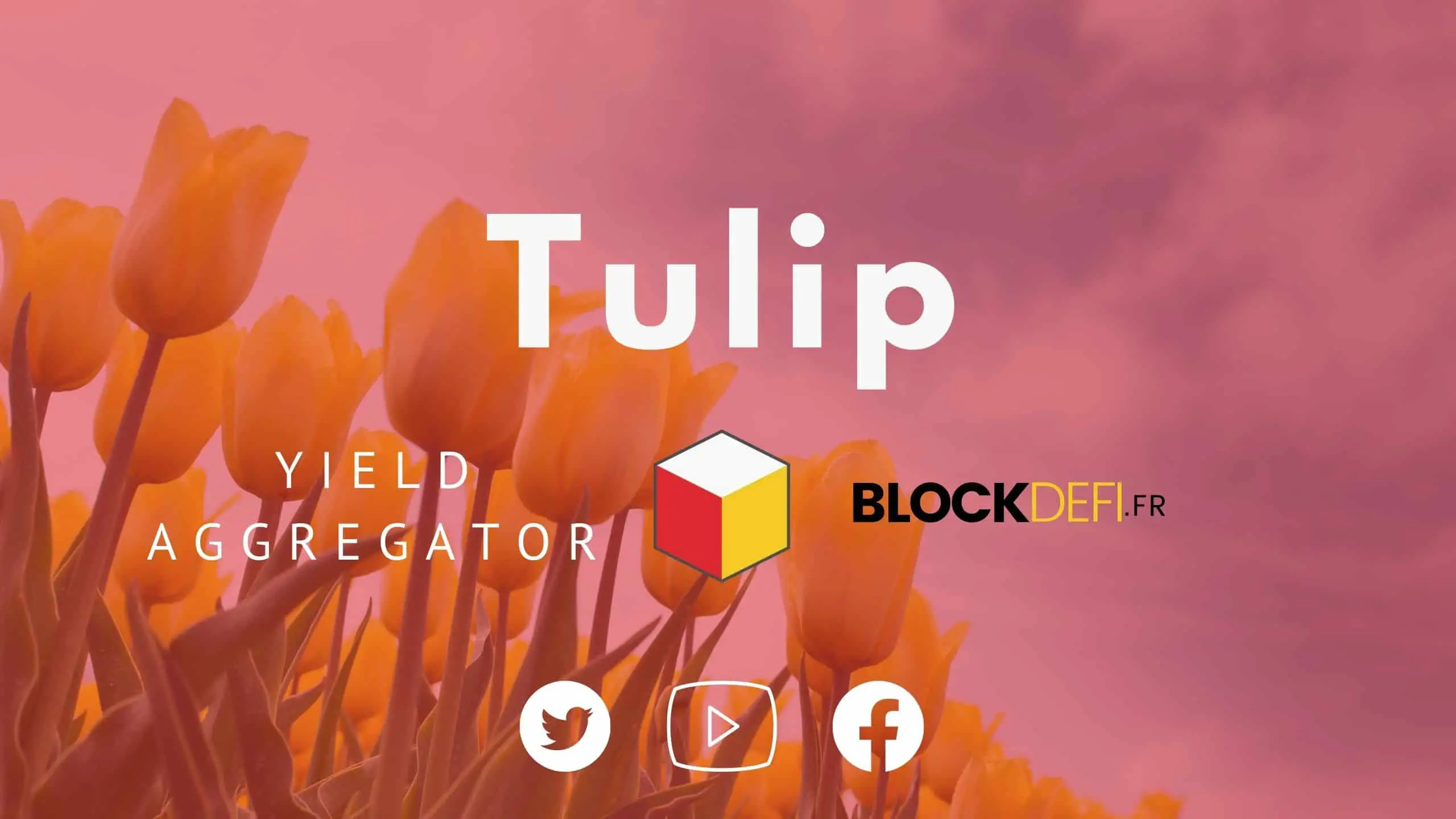 Tulip-Yield-aggregator-solana